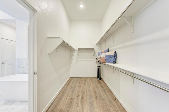 walk in closet with light wood finished floors