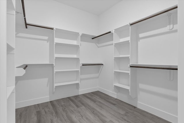 walk in closet featuring hardwood / wood-style flooring