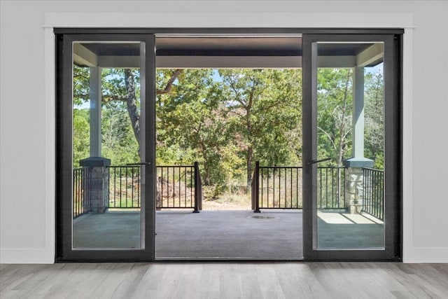 entryway featuring hardwood / wood-style floors