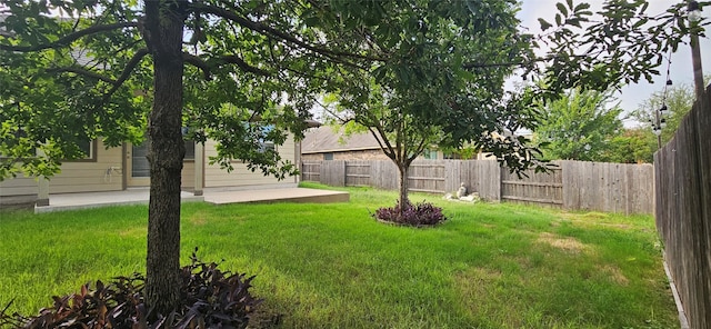 view of yard with a patio area