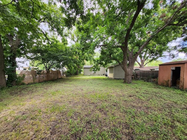 view of yard featuring a shed