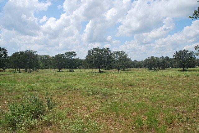 Listing photo 3 for TBD N State Highway 95, Flatonia TX 78941