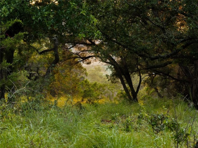 1026 Canyon Bend Dr, Dripping Springs, TX 78620