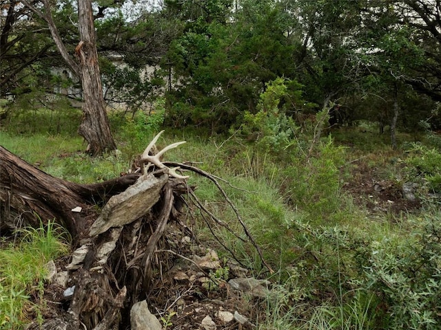 1026 Canyon Bend Dr, Dripping Springs, TX 78620