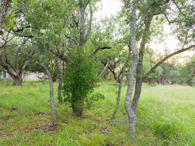1026 Canyon Bend Dr, Dripping Springs, TX 78620