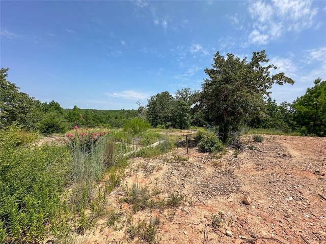 463 Kaanapali Ln, Bastrop TX, 78602 land for sale