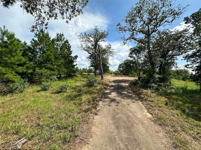 Listing photo 2 for 463 Kaanapali Ln, Bastrop TX 78602