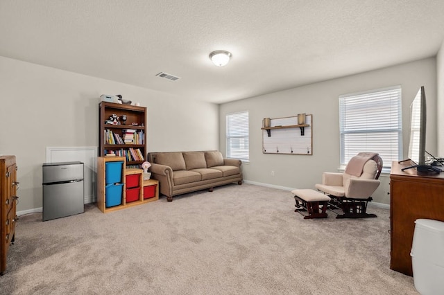 living area with carpet floors and a textured ceiling