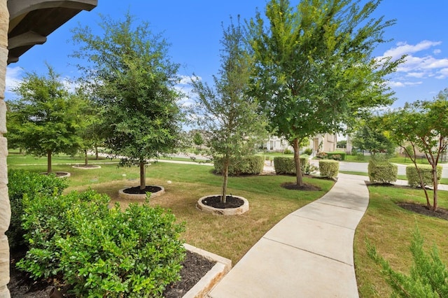 view of property's community with a yard