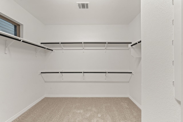 spacious closet with light colored carpet