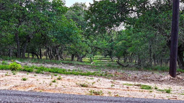 Listing photo 2 for TRACT16 Sandstone Ln, Seguin TX 78155