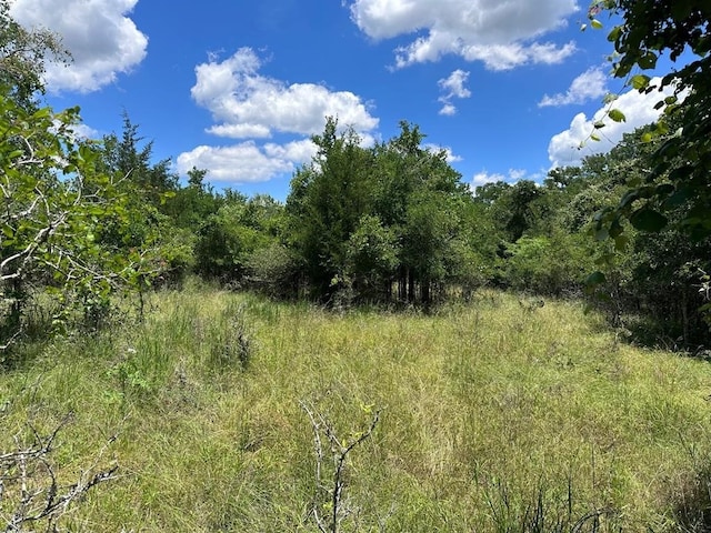 310 Riverside Dr, Bastrop TX, 78602 land for sale