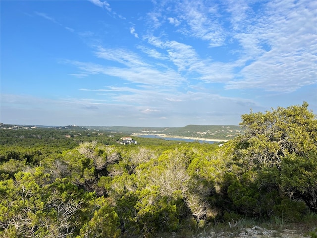 Listing photo 3 for OLDBURNETRD Old Burnet Road, Leander TX 78645