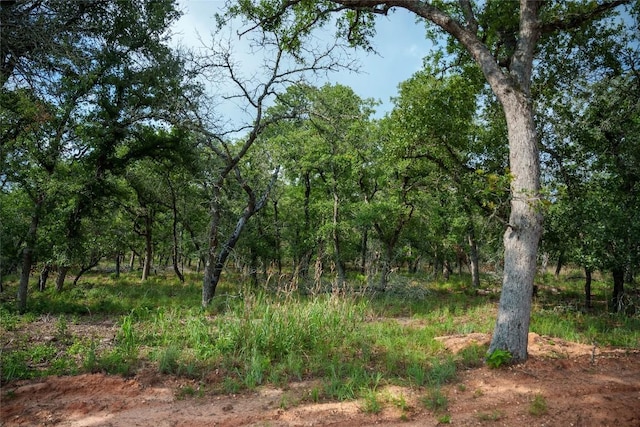 Listing photo 2 for TRACT5 Sandstone Ln, Seguin TX 78155