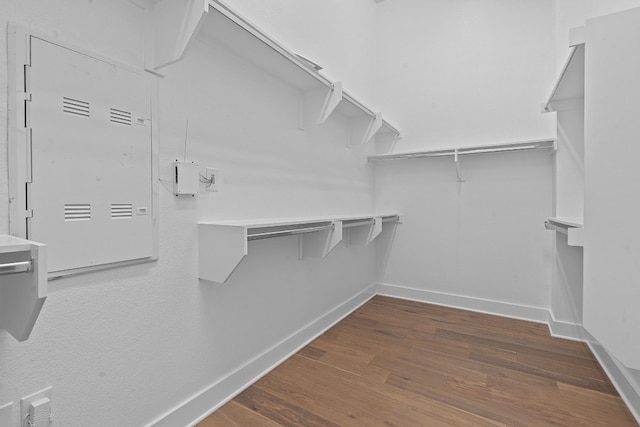 spacious closet featuring dark hardwood / wood-style flooring