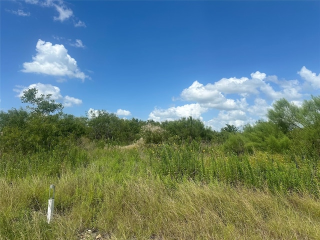 230 Burrobrush St, Niederwald TX, 78640 land for sale