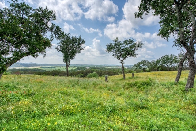 view of local wilderness with a rural view