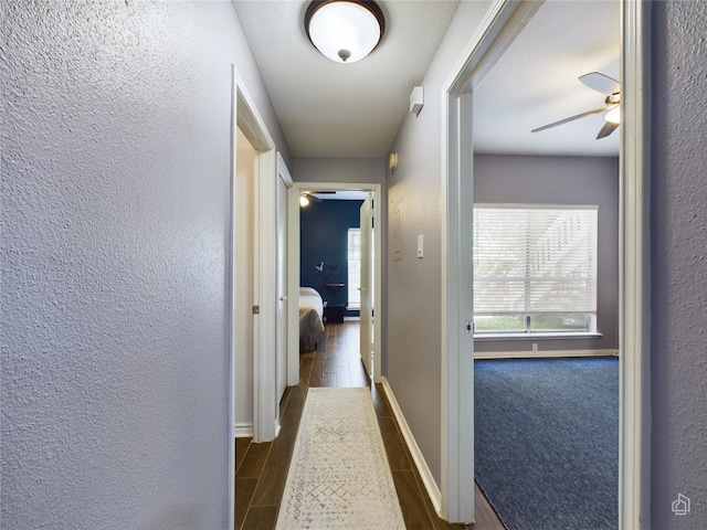 hallway with carpet flooring