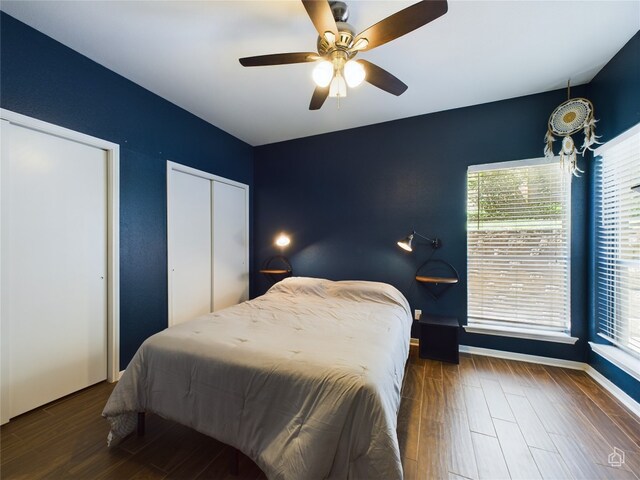 bedroom with two closets, wood-type flooring, and ceiling fan