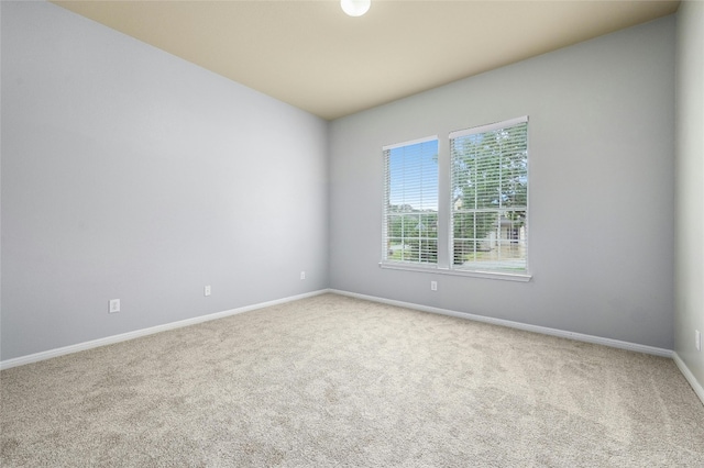 unfurnished room featuring carpet flooring