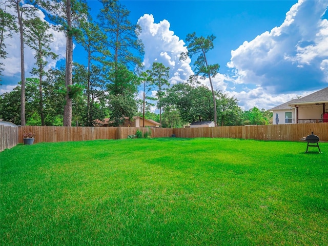 view of yard