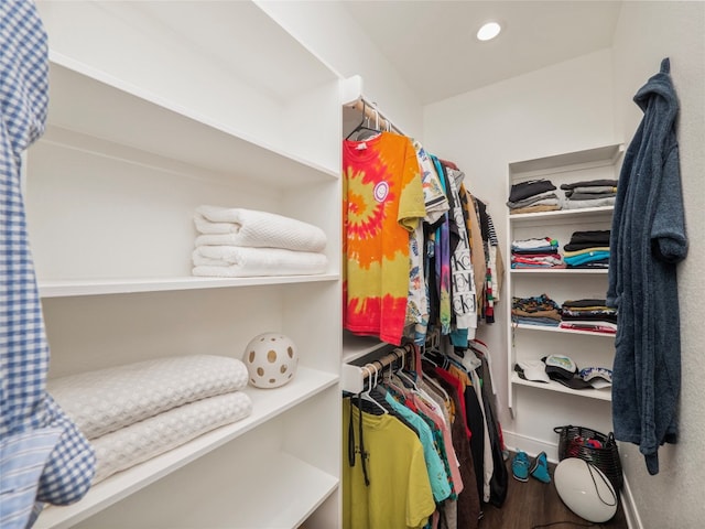 walk in closet featuring hardwood / wood-style flooring