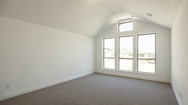 additional living space featuring vaulted ceiling, a healthy amount of sunlight, and carpet floors