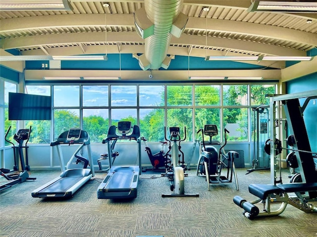 workout area featuring carpet and plenty of natural light