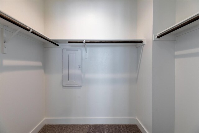 walk in closet featuring carpet flooring and electric panel