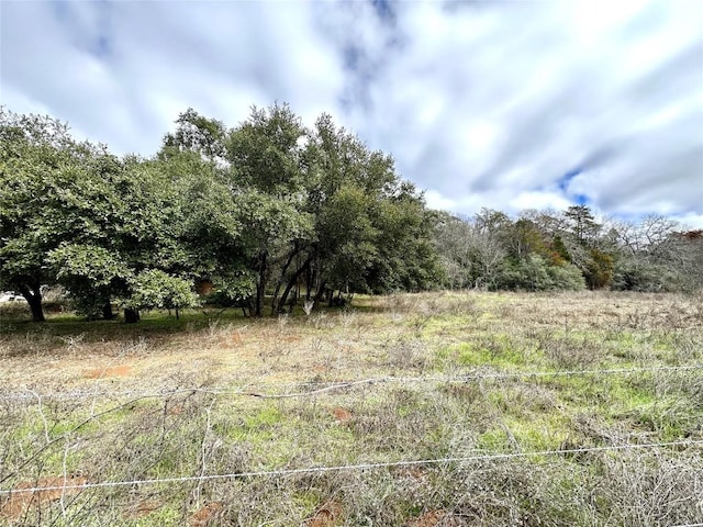 Listing photo 2 for TBD Highway 71 W, Smithville TX 78957