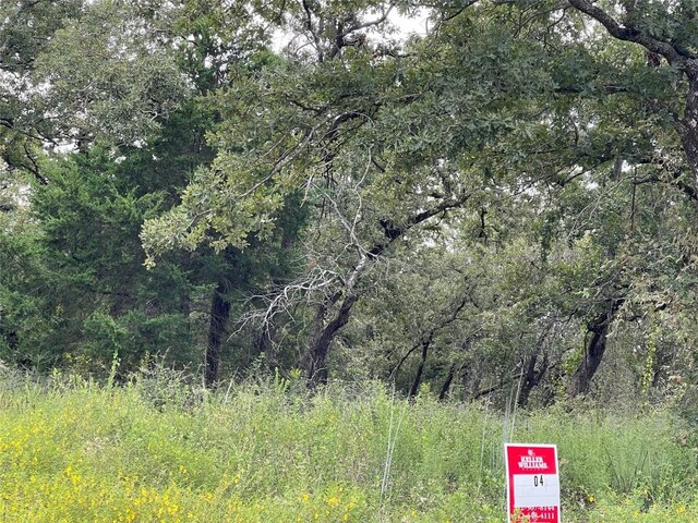 1300 Cypress Trail Loop, Rockdale, TX 76567
