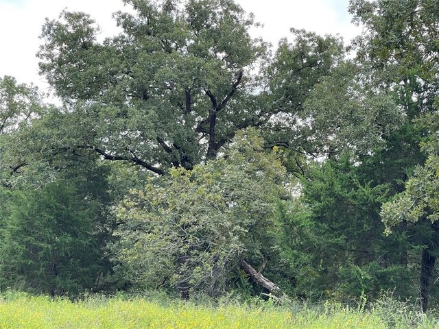 1300 Cypress Trail Loop, Rockdale, TX 76567