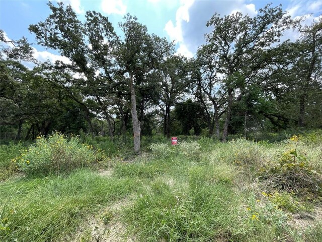 1300 Cypress Trail Loop, Rockdale, TX 76567