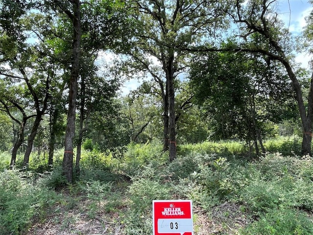 1300 Cypress Trail Loop, Rockdale TX, 76567 land for sale