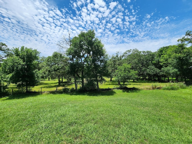 view of yard with a rural view