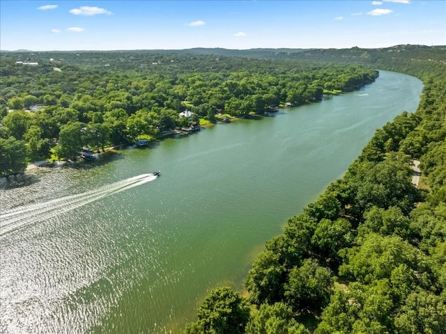 2108 River Hills Rd, Austin, TX 78733 - aerial view of a heavily wooded area and a large body of water