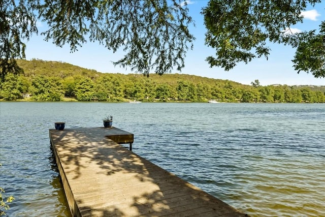 2108 River Hills Rd, Austin, TX 78733 - dock with a wooded view and a water view