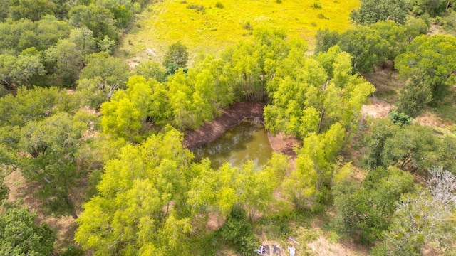 239 Dale Ranch Rd, Dale, TX 78616 - drone / aerial view