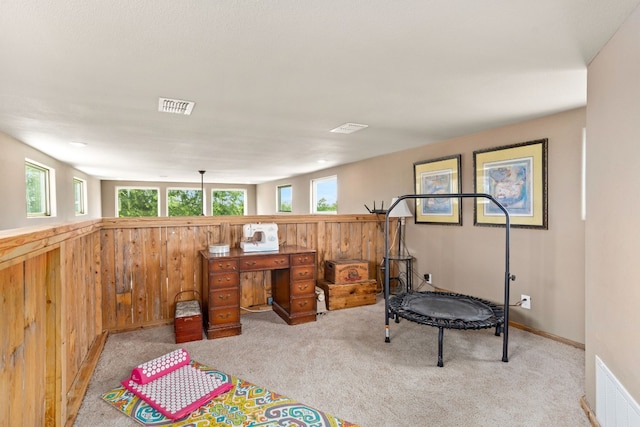 workout room with light carpet, visible vents, and a wealth of natural light