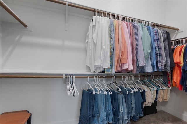 walk in closet featuring carpet flooring