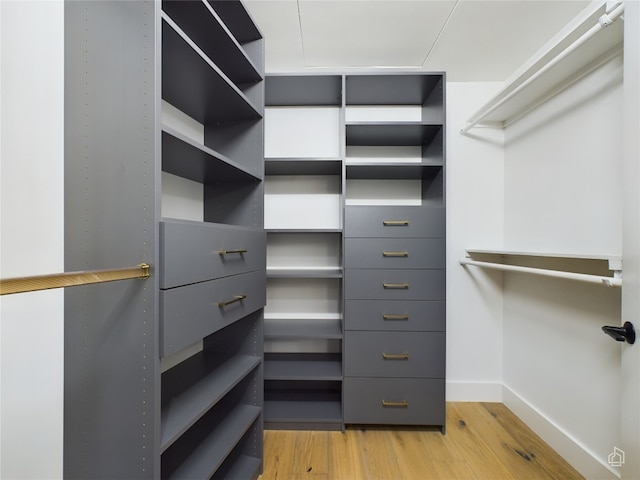 spacious closet with light hardwood / wood-style flooring