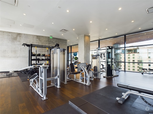 gym featuring expansive windows and hardwood / wood-style flooring