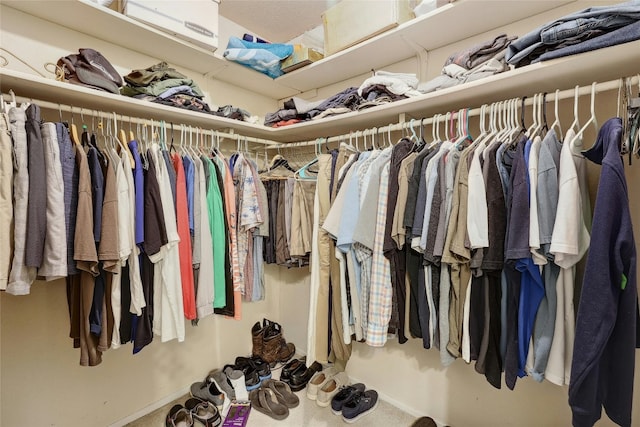 spacious closet featuring carpet flooring