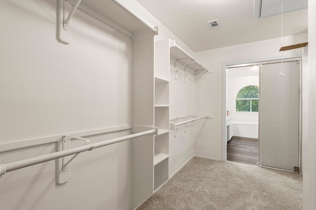 spacious closet with carpet