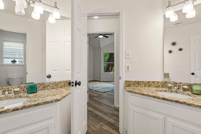 bathroom with vanity, toilet, and plenty of natural light