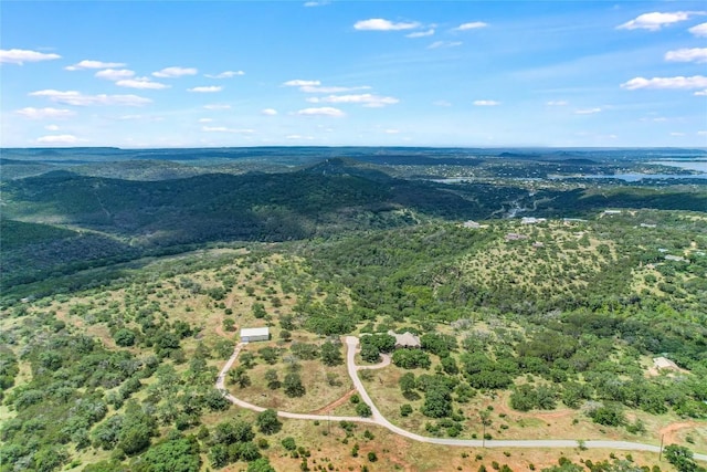 drone / aerial view with a mountain view and a view of trees