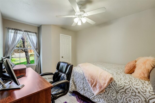 bedroom with ceiling fan