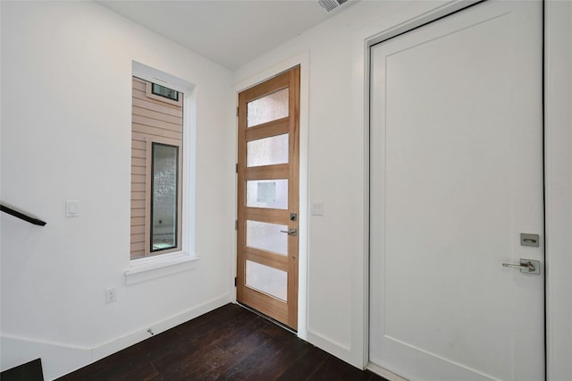 foyer entrance featuring dark wood-type flooring and a healthy amount of sunlight