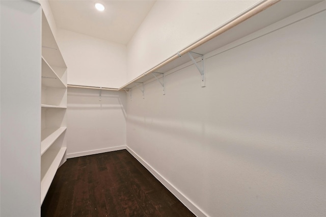 spacious closet with dark wood finished floors