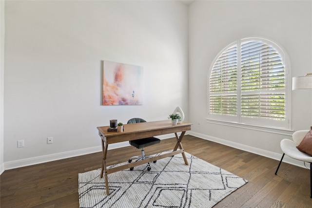 office featuring hardwood / wood-style flooring